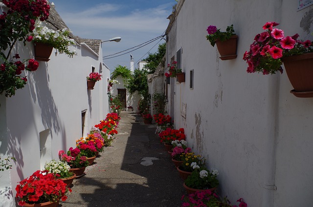 https://booking.vit.travel/uploaded_files/tours/6126/b3ba5ea746c47a160c3697ec0eb50b04.jpeg
