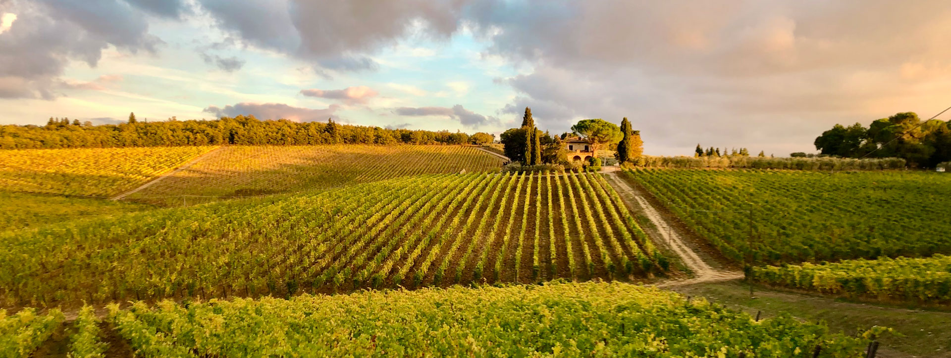 Casa Emma Essence of Chianti