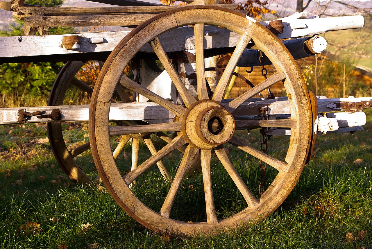 A Culinary Journey at the Farmhouse: Experience the Heart of Tradition