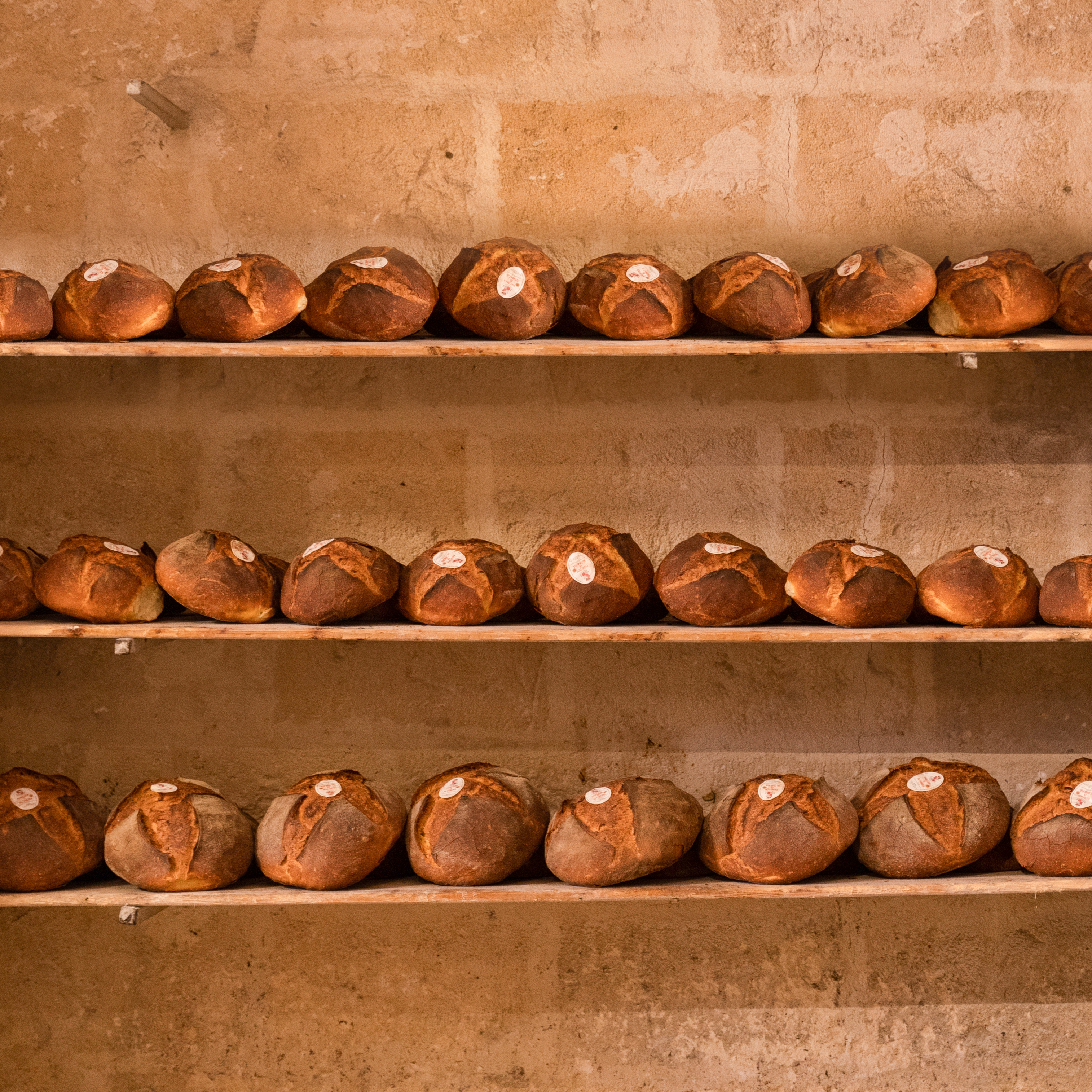 Ancient Oven Tour & Traditional Altamura Bread Experience