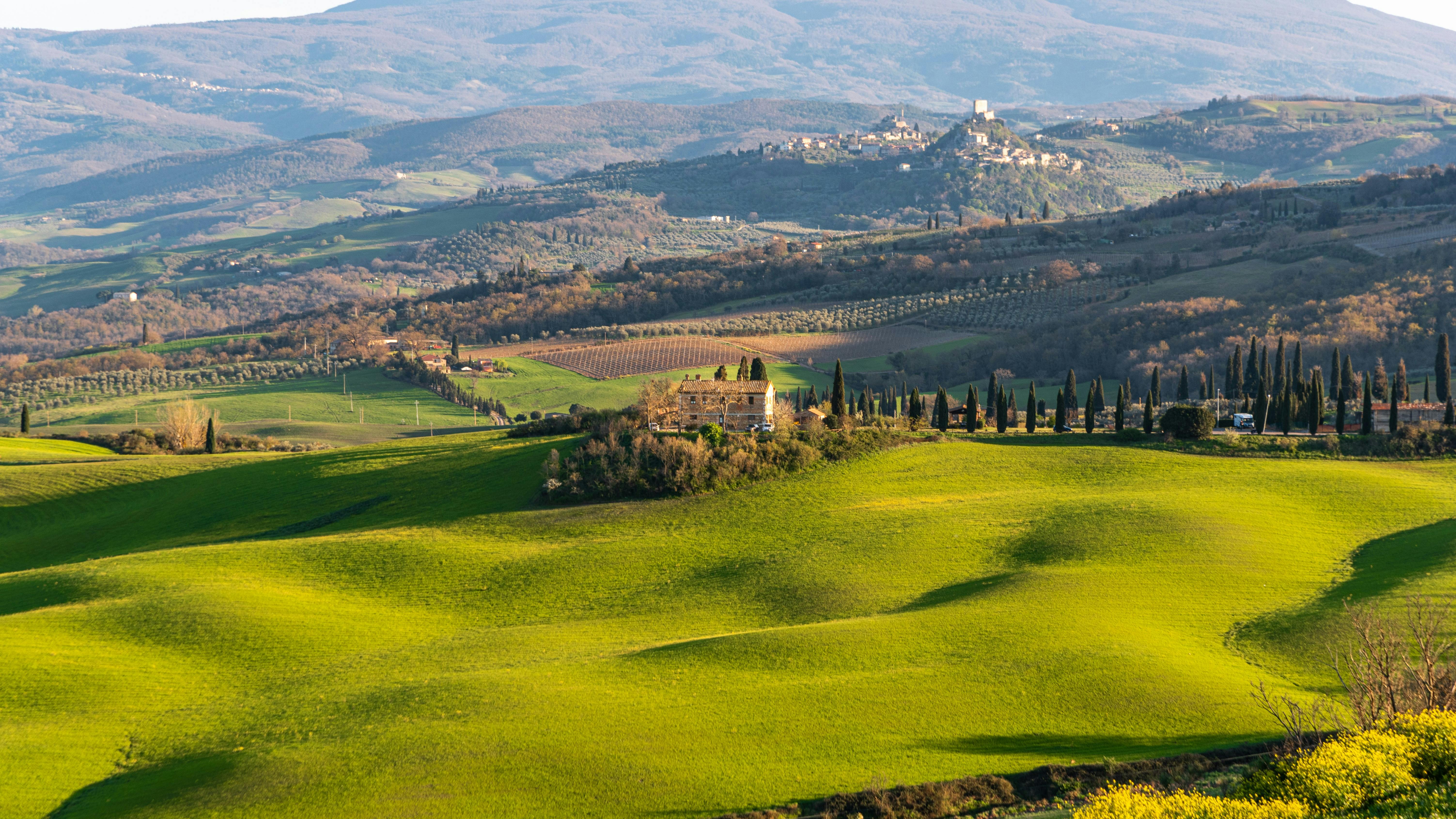 A Taste of Val d'Orcia: Pienza, Montepulciano and Wine Experience